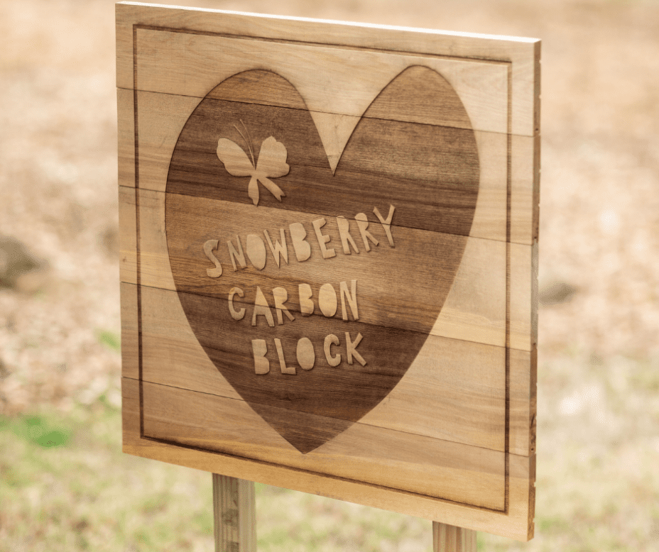 a plaque with snowberry carbon block written on it inside of a heart