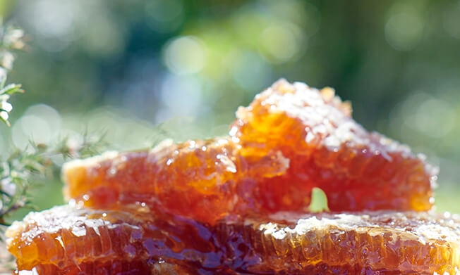 blocks of kanuka honey sourced naturally