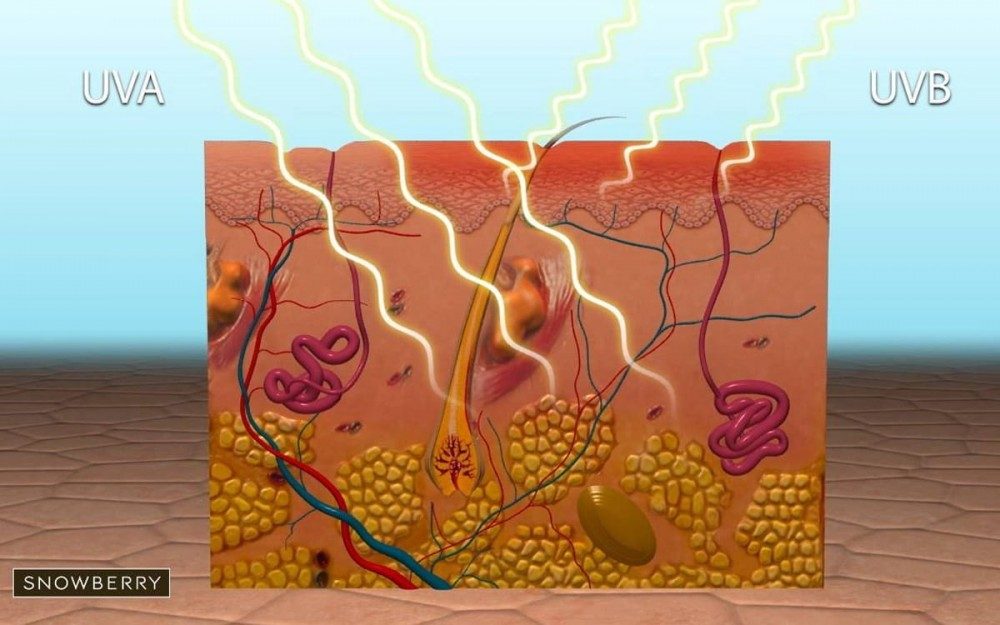 Natural Sunscreen Vs. Chemical Sunscreen - How do they work?